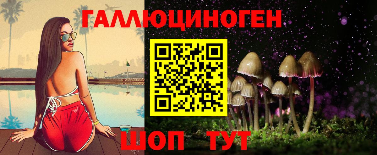 Псилоцибиновые грибы GOLDEN TEACHER  Вход с VPN  Псилоцибиновые грибы ЛСД  Донской 